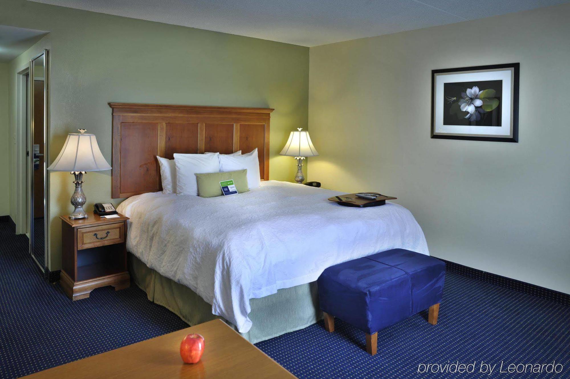 Hampton Inn & Suites Atlanta-Six Flags Lithia Springs Room photo